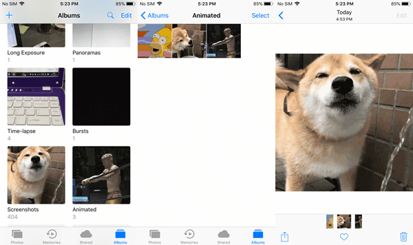Play GIFs iPhone