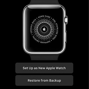 Restore Apple Watch from Backup